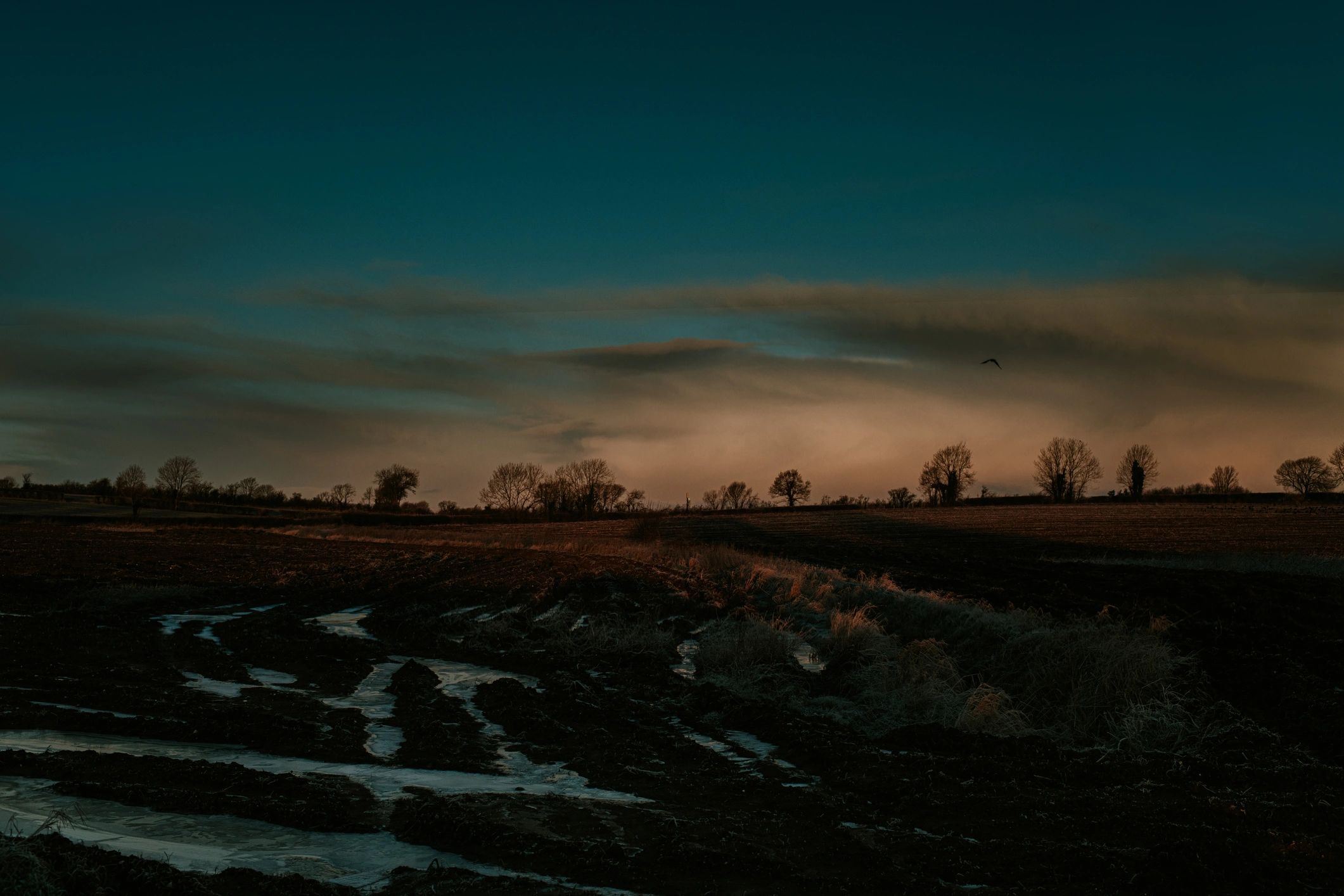 Wide agricultural field at sunrise