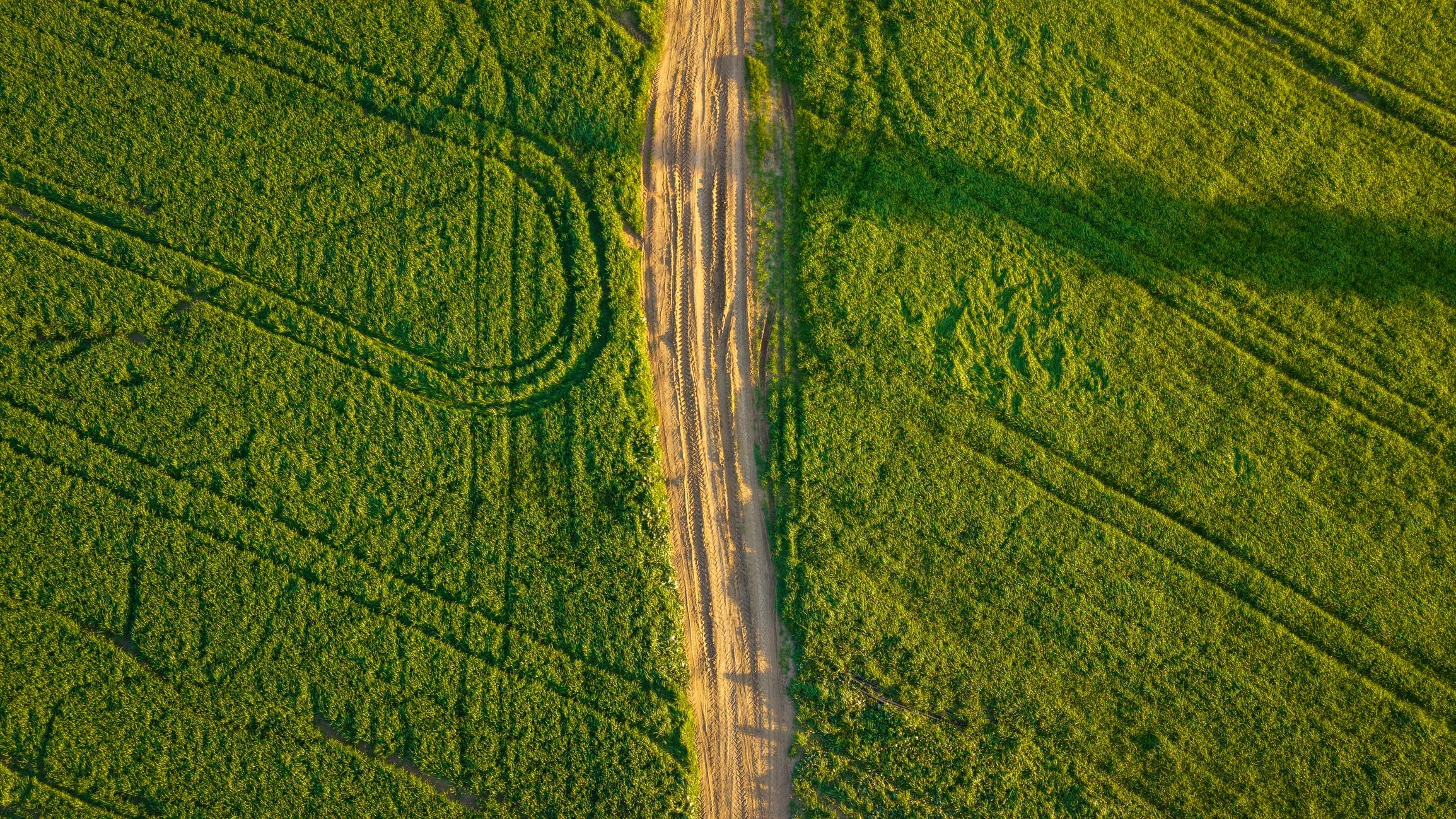 Aerial view of agricultural fields with a dirt road